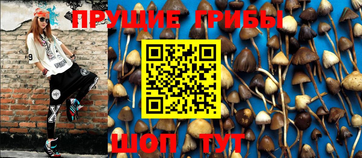 Галлюциногенные грибы Cubensis  Псилоцибиновые грибы Psilocybe  где можно купить   Вход с VPN  Новосибирск 